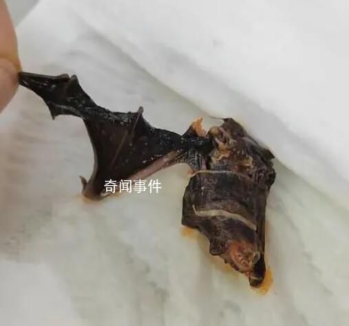 女子投诉杨国福麻辣烫吃出蝙蝠 真的是太无语了