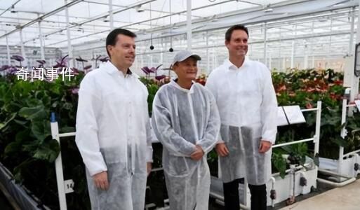 马云前助理:马家厨房不做预制菜