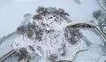 东北是捅了雪窝了 东北经历11月第五轮降雪