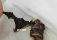 女子投诉杨国福麻辣烫吃出蝙蝠 真的是太无语了