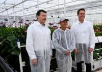 马云前助理:马家厨房不做预制菜