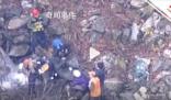 日本一棕熊尸体内发现人体残骸 验尸后确认为登山死亡的大学生