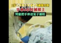男童手臂伸进笼子被藏獒咬断 手术差不多花了6个小时