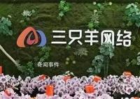 三只羊网络CEO回应上市传闻 不是在为将来上市做准备