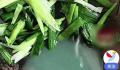 男子买韭菜炒出像洗衣液绿色汤汁 引发了市民的广泛关注和对食品安全问题的担忧