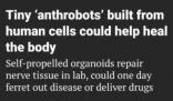 “人体细胞机器人”问世