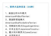 罗威纳犬被成都纳入禁养犬名单 该规定自2024年1月1日起施行