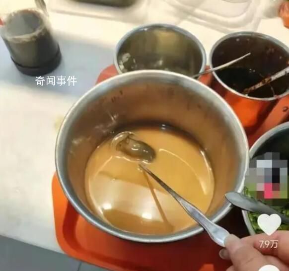 扬州一学院食堂麻酱盆中发现老鼠 具体情况仍在调查中