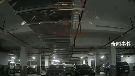 情侣深夜变雌雄大盗 得手后激动告白