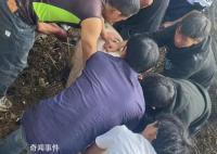 云南部分乡镇倡议不搞“杀猪饭” 引发网友热烈讨论