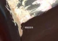房东出租仅两月的房子被“扒皮” 窗台上满是狗屎用餐巾纸包着