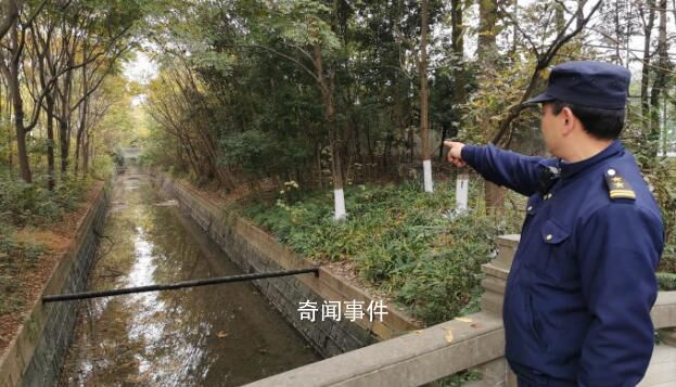 为了救小狗大学放干了护校河的水 引热议