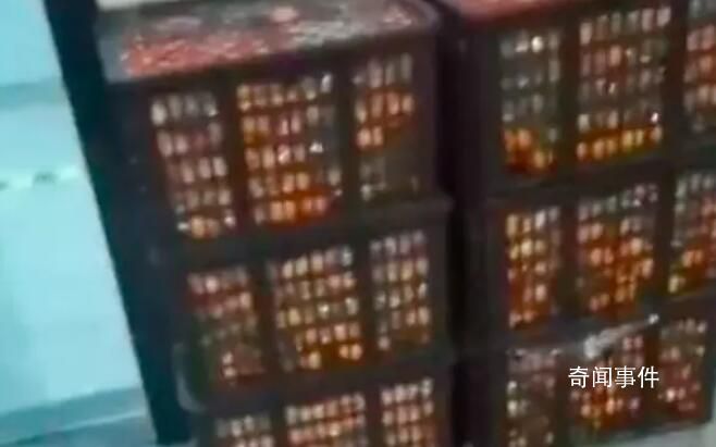 一车橘子被检测站卸8筐仅找回4筐半 货主怀疑被吃