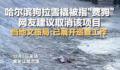 哈尔滨回应网友建议取消狗拉爬犁 引起许多网友关注