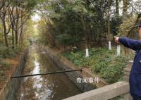 为了救小狗大学放干了护校河的水 引热议