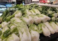 白菜批发价最低2毛一斤 官媒发声