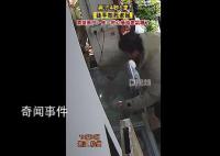 大哥徒手4秒6连掌送鼠鼠“回家”