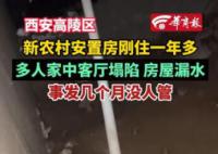 被狗咬伤男童家属仍在找狗主人 工作人员称此事还在核实当中