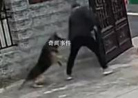 知情人回应狗主人锁狗被疯狂攻击