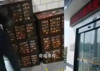 遗失橘子货主不认可官方通报
