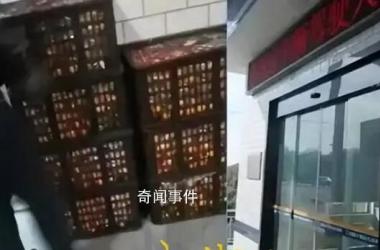 遗失橘子货主不认可官方通报