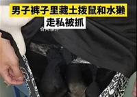 男子裤子里藏动物走私被抓