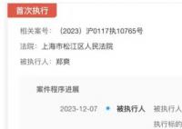 郑爽被强制执行9050万 因代孕和偷逃税被封杀致电视剧无法上线