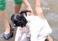 网红袖珍女孩疑遭母亲虐待 肢体2级残疾