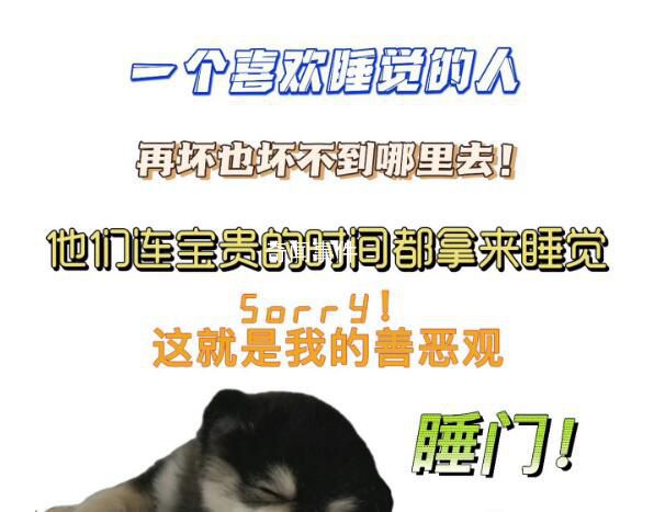 2023十大网络流行语公布 2023年十大网络流行语榜单