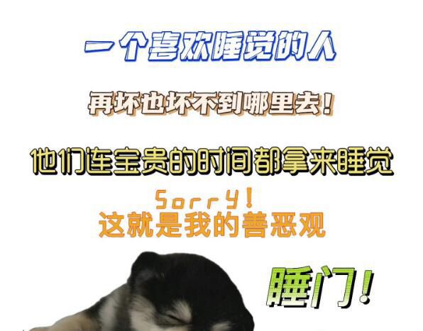 2023潮流热点 本年度十大网络流行语榜单的诞生