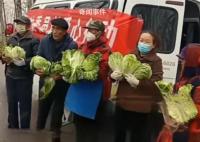 河南一地疑让老人寒风中捧白菜摆拍