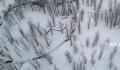 新一轮大范围雨雪明起来袭 需注意防范