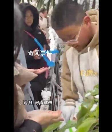 小孩哥夹雪熊哄大学生忙成流水线