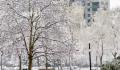 积雪可达15厘米 暴雪寒潮已近在眼前