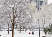 积雪可达15厘米 暴雪寒潮已近在眼前