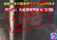 猫咖20只猫饿到互相残杀?店主回应