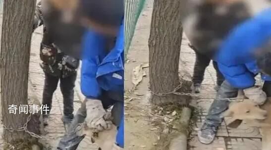 男孩哭着阻拦父亲卖狗被骂滚一边