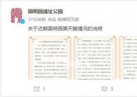 圆明园黑天鹅幼鹅不幸夭折 呼吁广大朋友做大自然的观察者不做干预者