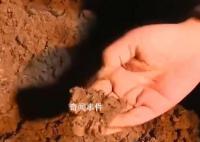 “砂涌现象”与余震无直接关系
