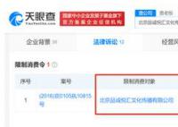 朱丹被闺蜜起诉:骗千万与事实不符