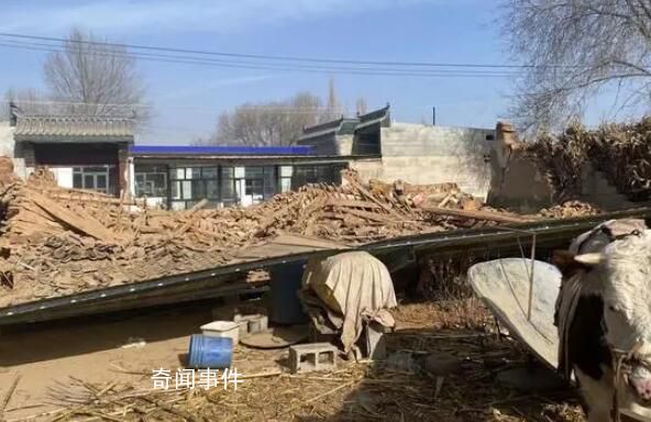 老人为了救孙子地震中遇难 未能看到父亲最后一眼