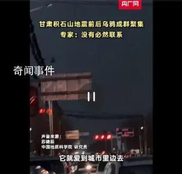 甘肃地震前后乌鸦成群?专家解读