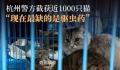 爱猫失踪90后女孩暗访整条产业链