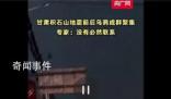 甘肃地震前后乌鸦成群?专家解读
