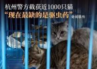 女孩一年举报几十个猫贩子窝点