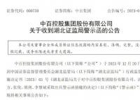 中百集团及多名高管被警示