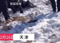 男子冬钓失联 遗体在冰缝中被发现