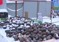东北的室外果然是天然大冰箱