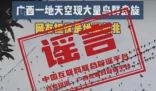 鸟群盘旋是地震前兆?多地辟谣