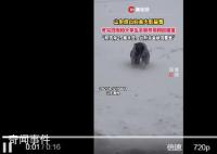 女生考完4级遇暴雪手脚并用爬回寝室